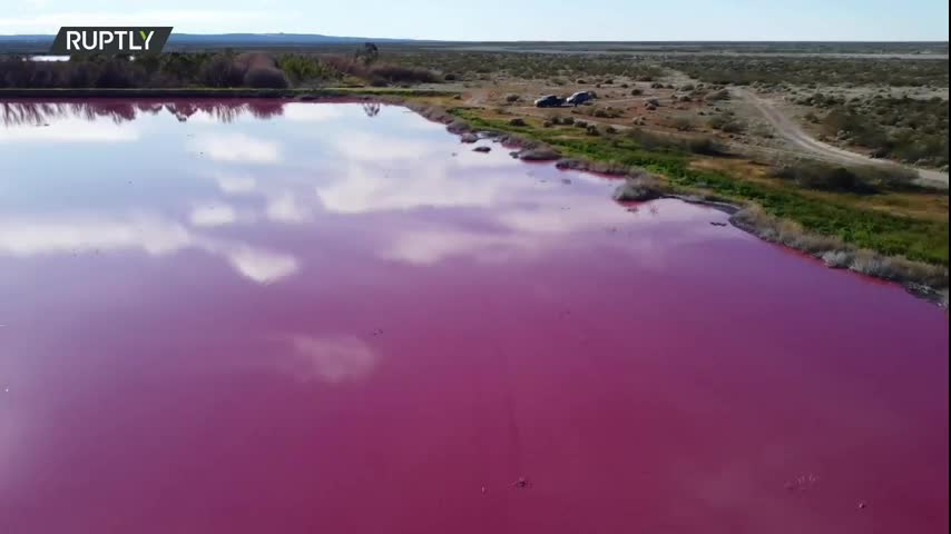 Argentina: La contaminación tiñe una laguna de la Patagonia de color rosado