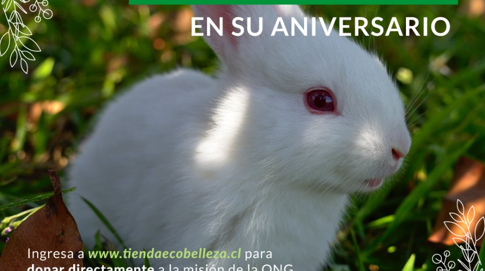 ONG Te Protejo conmemora su 9no aniversario con campaña de donación