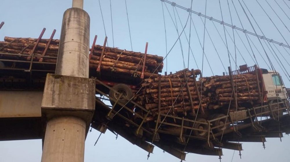 Camión que transportaba madera queda "colgando" tras colapsar puente en Carahue