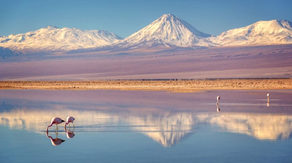 Ahora le toca al norte: Atacama recibirá precipitaciones esta semana