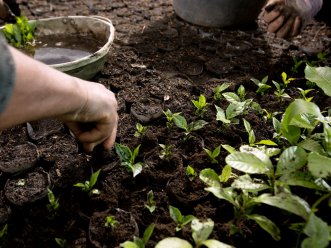Postula al nuevo fondo concursable de Nestlé Chile para apoyar a microempresarios