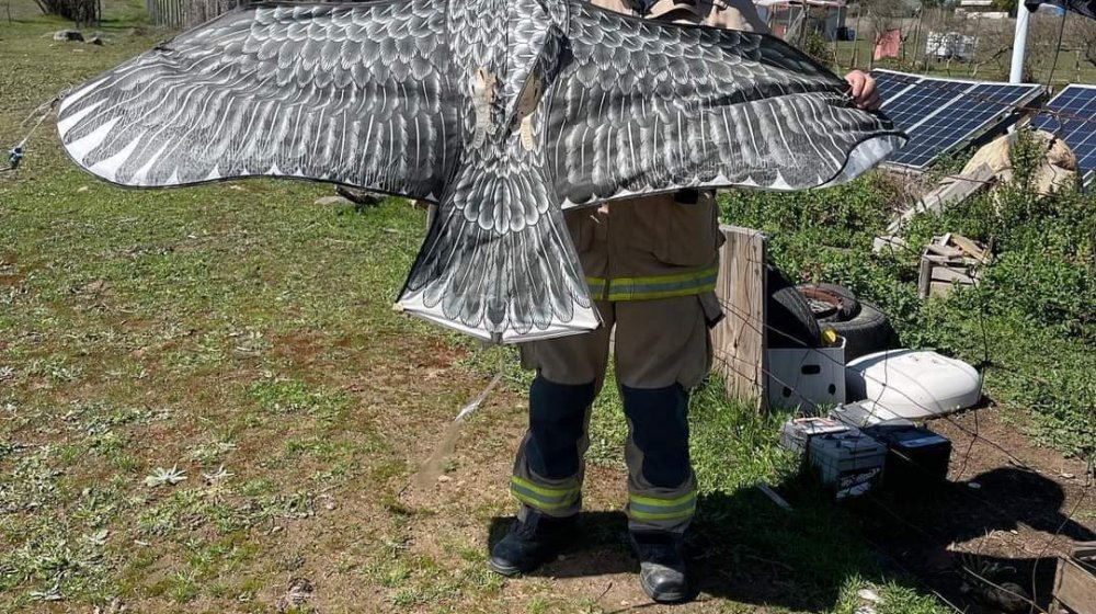 Bomberos acude al rescate de un ave: era un volantín en forma de pájaro