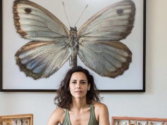 Micra: mariposas al detalle en su máxima expresión