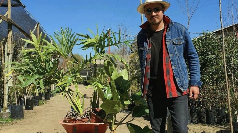 Descubre "Plantsss": La aplicación verde 100% chilena